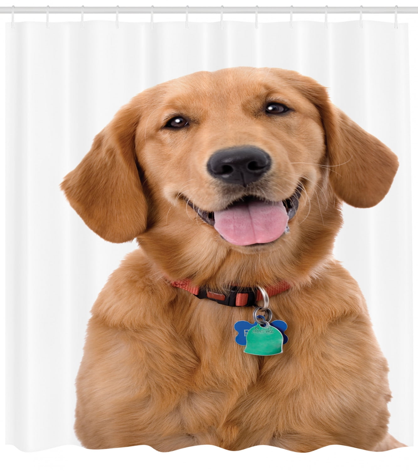 What Tags Should A Dog Wear