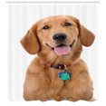 thumbnail image 1 of Ambesonne Golden Retriever Shower Curtain, Collar Tags, 69"Wx70"L, Multicolor, 1 of 3