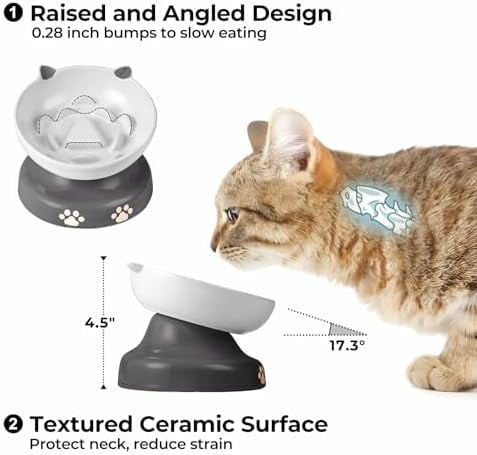 Slow Feeder Cat Bowl, Ceramic Elevated Cat Bowl Tilted Design Slow Feeder for Dog and Cat for Dry and Wet Food, Gray