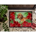 thumbnail image 3 of Carolines Treasures CK1300JMAT Dachshund Poinsettas Door Mat Indoor Rug or Outdoor Welcome Mat 24x36 Doormat  36"L x, 3 of 4