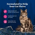 thumbnail image 4 of Blue Buffalo Wilderness Wild Delights Wet Cat Food, Chicken & Salmon, 3-oz. Can, 4 of 11