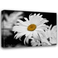 thumbnail image 1 of Vitaly Geyman 37x28 Gallery Wrapped Canvas Wall Art Titled - Daisy I BandW, 1 of 4
