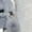 gray, variant on Women’s Lace-Up Waist Two-Piece Set with Boning Support Trendy Casual Outfit Slimming Fit Top & Pants Matching Set Fashion Streetwear Chic Daily Wear