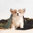 thumbnail image 4 of Pofeuu Dinosaur Bald Eagle Print Puppy Blanket,Dog Blankets,Pet Blanket Cozy Cat Blankets for Indoor Cats, Fuzzy Pet Blanket for Kitten Doggy Dog Blankets-Medium, 4 of 8