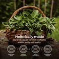 thumbnail image 6 of Gya Labs Organic Peppermint Essential Oil for Hair & Aromatherapy - (0.34 fl oz) - Premium Grade Natural Organic Peppermint Oil for Diffuser & Skin, 6 of 8