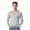 Cement, variant on Gildan Unisex Softstyle Long Sleeve T-Shirt 60/40 Ring-Spun Cotton/Polyester Crewneck Classic Fit Casual Tee (Cement, L)