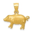 thumbnail image 1 of 14K Yellow Gold Charm Pendant 18 mm 19 Diamond-Cut Pig, 1 of 4