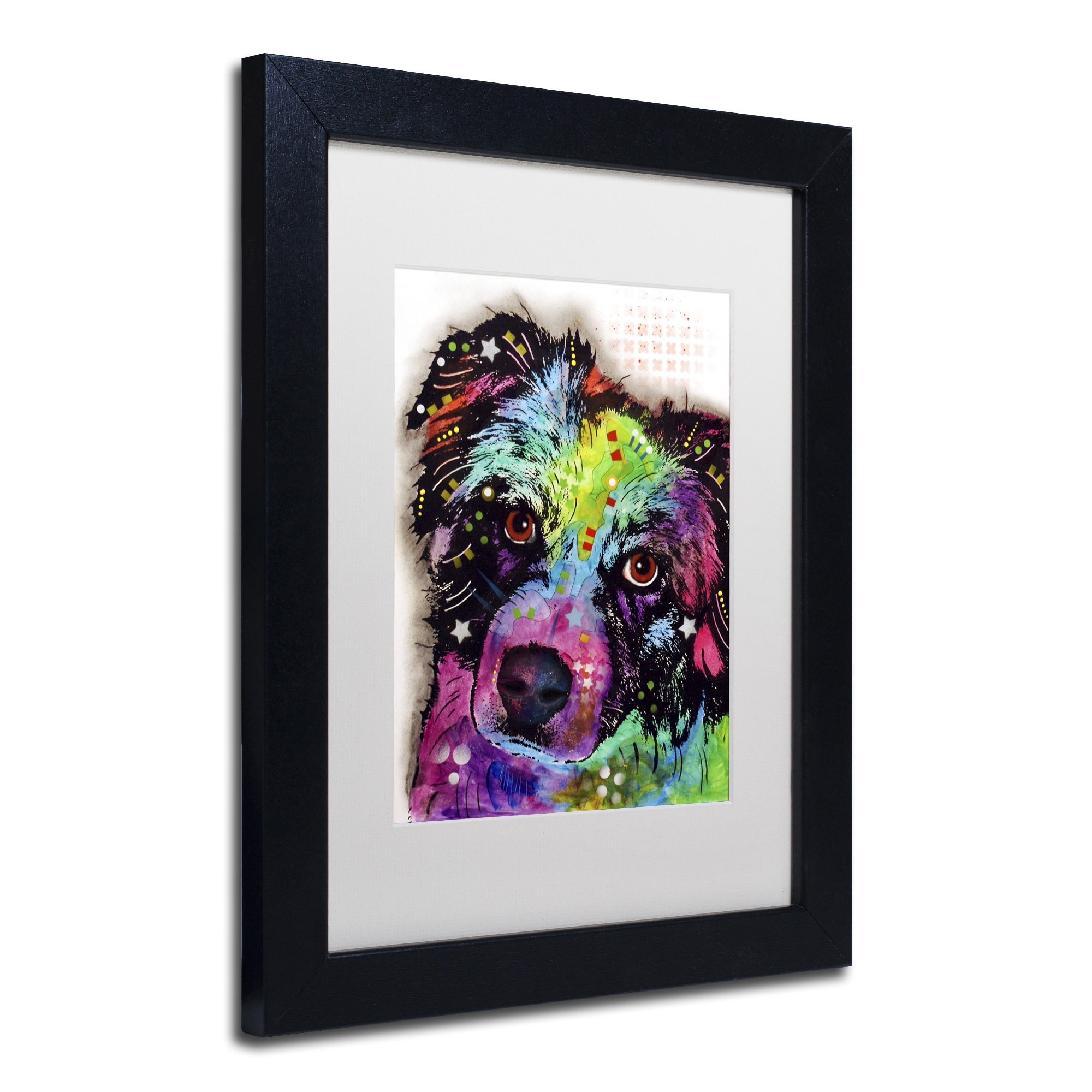 Trademark Fine Art "Aussie" Canvas Art by Dean Russo, White Matte, Black Frame