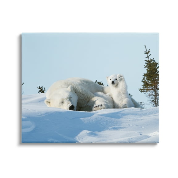 Stupell Industries Polar Bear Cub with Mom Animals & Insects Photography Gallery Wrapped Canvas Art Print Wall Art, 20 x 16