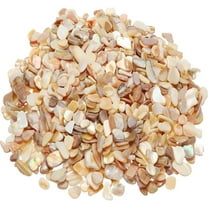 300g Natural Crushed Shells for Craft,Bexikou Irregular Sea Shell Pieces Crushed Seashells Pieces Chips for Home Decoration Art Crafts DIY Projects Weddings Party, Succulent Plants