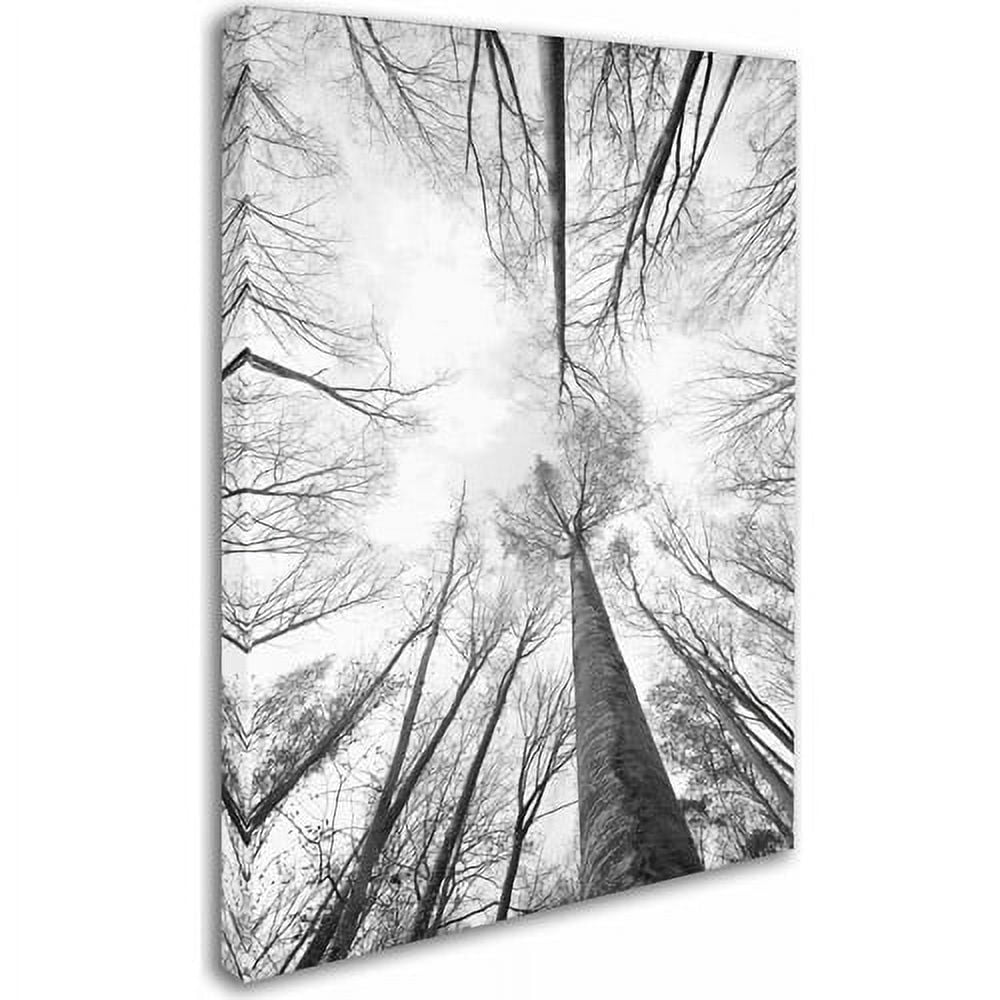 Trademark Fine Art "Recall the Days" Canvas Art by Philippe Sainte-Laudy