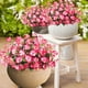 thumbnail image 5 of Eoozwa 2 Packs Artificial Flowers 7-Head Bouquet Realistic Silk Floral Stems for Home Decor Wedding Centerpieces and Outdoor Garden Photography Props Long-Lasting Spring Collection, 5 of 6