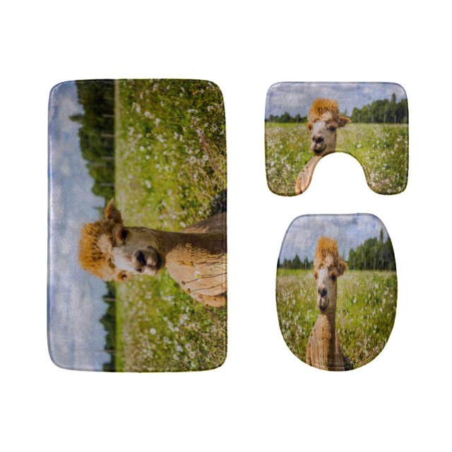 ABPHQTO Una hermosa alpaca marrón Juego de alfombras de baño de 3 piezas Alfombra de baño Alfombra de contorno y tapa de inodoro