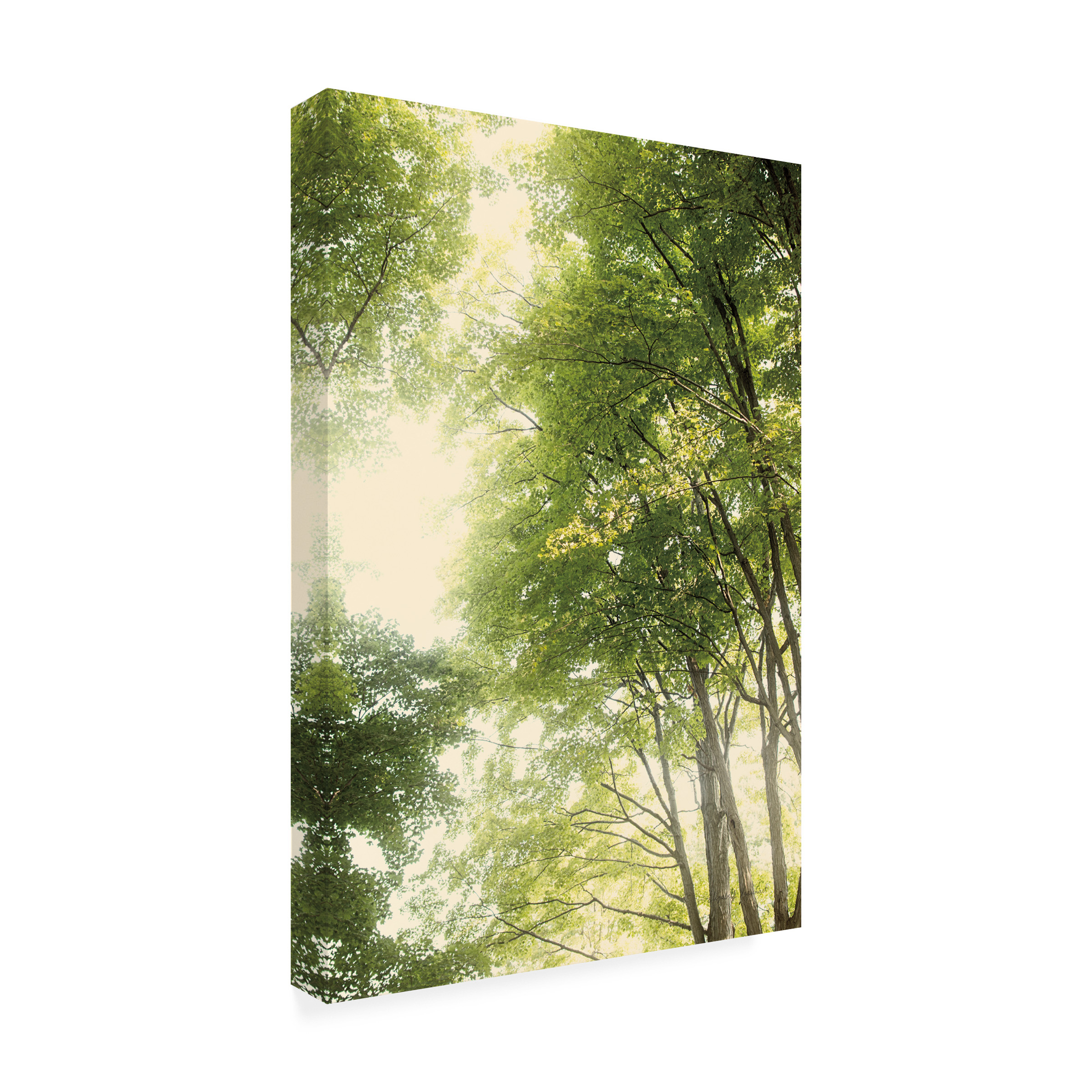 Elizabeth Urquhart 'Towering Maples III' Canvas Art
