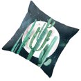 thumbnail image 2 of Cactus Succulents Pattern Polyester Pillowcase Cushion Cover Office Sofa Home Peach Skin Velvet Decor, 2 of 9