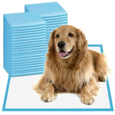 INSMART Potty Pads for Dogs,Puppy Pads Training Pads, Large, 24 in x 24 in, 40 Count Disposable Dog Pee Pet Pads