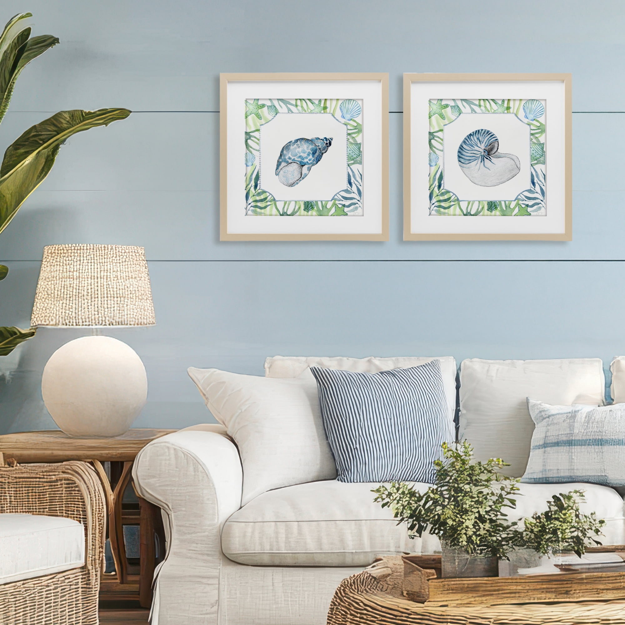 Stupell Industries Seaweed Bordered Seashells 2 Piece Birch Framed Print Under Glass Set, design by Janet Tava