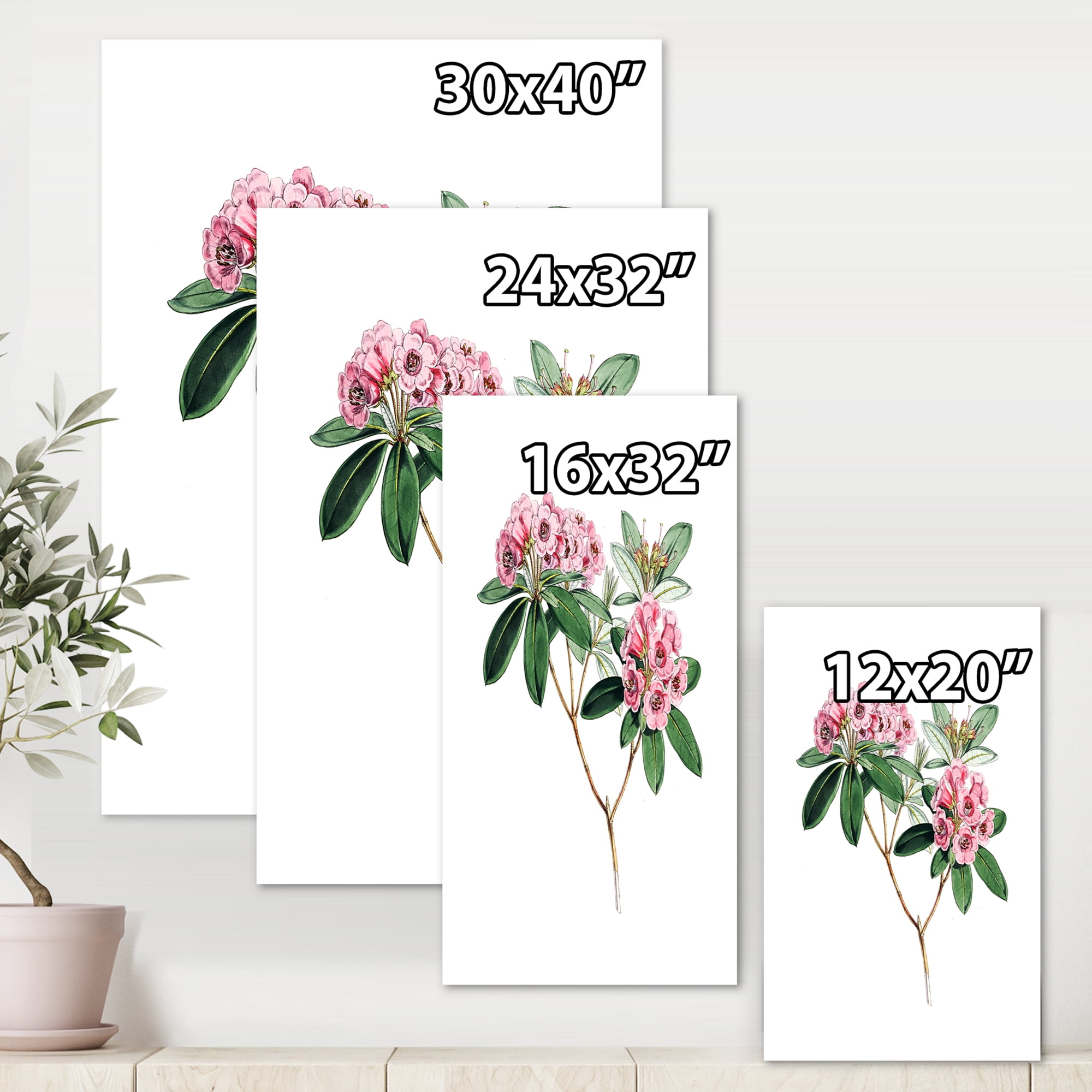 Designart ' Ancient American Flora II ' Traditional Canvas Wall Art Print