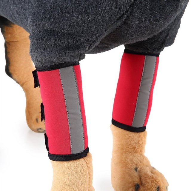 Soporte para patas de perro, con tiras reflectantes y rodilleras para perros (S) brillar Electrónica