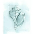 thumbnail image 3 of Meagher, Megan 12x14 Black Modern Framed Museum Art Print Titled - Coastal Shell Schematic I, 3 of 5