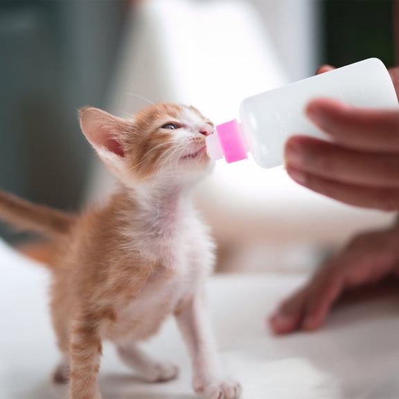 HEATSHAKING 3Pcs Pet Feeders Cat Milk Bottle Pink PET Silicone Simple Design for Pet Owners
