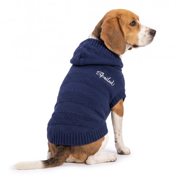Vibrant Life Holiday Waffle Knit Spoiled Sweater for Dogs, Blue, M