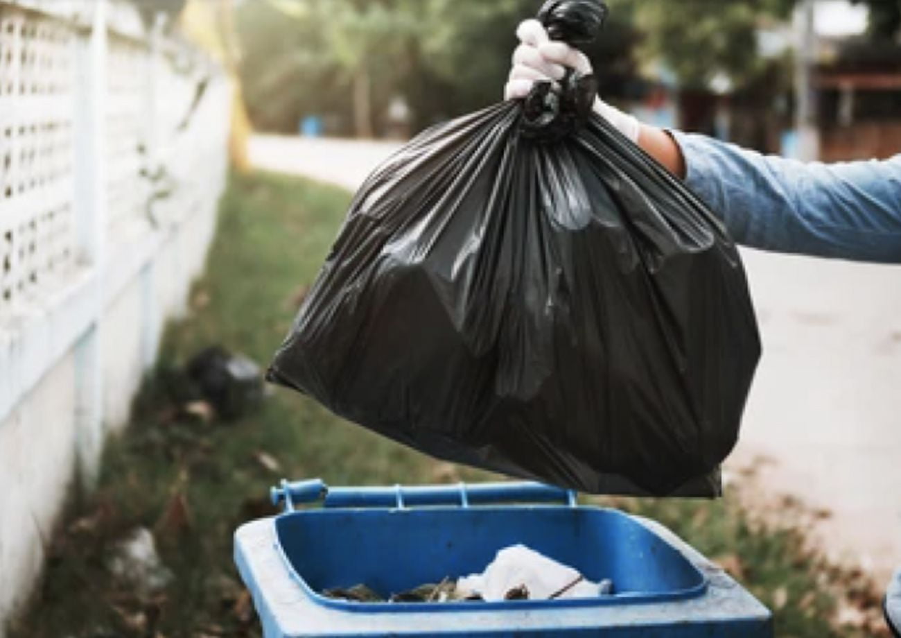33  Gallon Trash Liner  50 Bags - 33" x 39" - Heavy Duty Industrial Grade LDPE Bag (2 MIL E.Q)