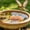 #270-Bronze*D, variant on Cheapark Bird Bath Cleaner Metal Water Purifier for Outdoor Garden Bird Bath Water Ripple Maker Keep Water Fresh Accessory Gift