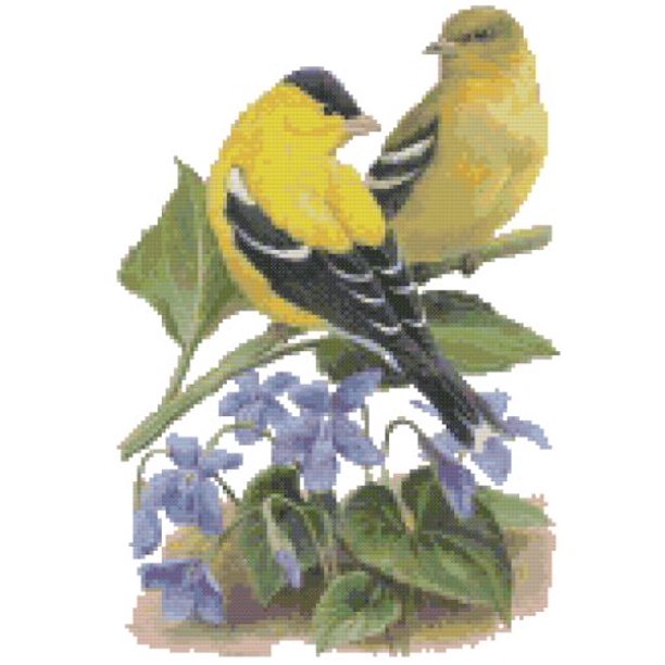 New Jersey State Bird and Flower Eastern Goldfinch and Violet Counted