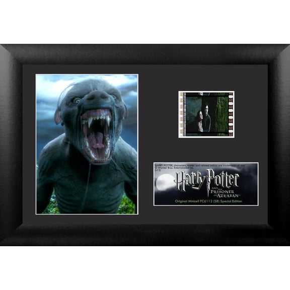 Harry Potter and the Prisoner of Azkaban (Werewolf) Minicell FilmCells Framed Desktop Presentation USFC6112