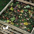 thumbnail image 3 of All Natural Mushroom Compost (4 Quarts), Low Odor Rich Supplement for Indoor/Outdoor Potted Plants and Gardening, 3 of 10