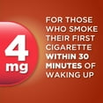 thumbnail image 4 of (3 pack) Equate Nicotine Gum 4 mg, Stop Smoking Aid, Cinnamon Flavor, Coated, 160 Count, 4 of 10