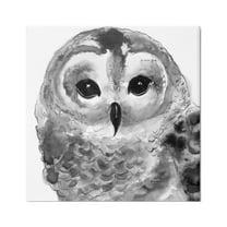 Stupell Industries Tranquil Barn Owl Bird Face Portrait Painting Painting Gallery Wrapped Canvas Print Wall Art, Design by Patti Mann