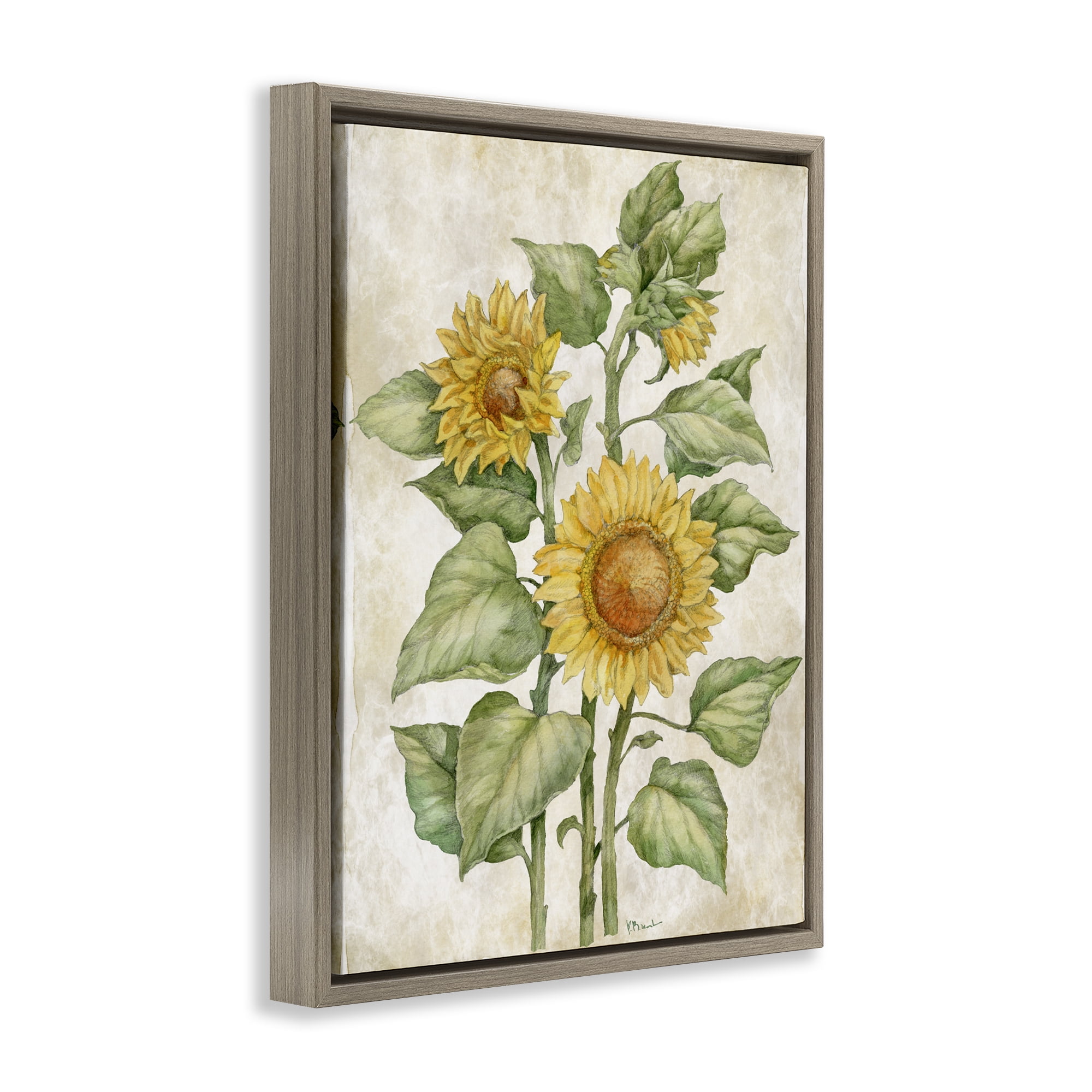 Stupell Industries Floral Journal Sunflower Brown Framed Floater Canvas Wall Art, design by Paul Brent