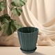 thumbnail image 5 of Macetas de Plástico Verde para Plantas, Huerto o Jardín de Verduras En Balcón. Maceta Verde con Base para Plantas Suculentas o Bonsáis. Almacenamiento para Plantas., 5 of 7