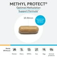 thumbnail image 2 of XYMOGEN Methyl Protect - 3,400 mcg 5-MTHF (5-Methyltetrahydrofolate) - Cardiovascular & Neurological Support - Activated Vitamin B Supplement - Vegetarian & gluten-free - 60 Capsules, 2 of 9