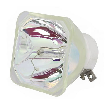 Lutema Economy Bulb for NEC M260W Projector (Lamp Only) price history on PriceWatchPro