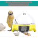 thumbnail image 4 of Automatic 7 Egg Incubator Digital Egg Incubator With Automatic Turning, 4 of 5