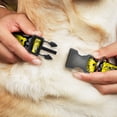 thumbnail image 2 of Nickelodeon Pet Collar, Dog Collar Plastic Buckle, SpongeBob Close Up Expressions Crackle Black Gray Yellow, 20 to 31 Inches 1.5 Inch Wide, 2 of 6