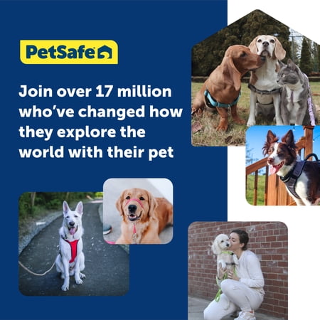 PetSafe（ペットセーフ） ジェントルリーダー 引っ張り防止 ヘッドカラー 犬用 散歩トレーニング【フォーン（ベージュ） Mサイズ】