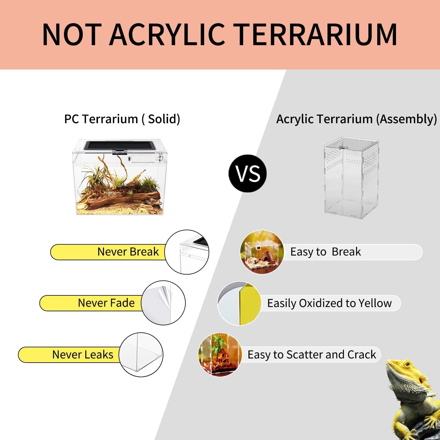 Mini Reptile Terrarium 12"x7"x8.6" Full View Reptile Tank For Insect Fish Tarantula Hermit Crab Iguana Tortoise Gecko Frog Bearded Dragon