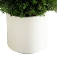thumbnail image 5 of Nearly Natural Potted Cedar Artificial Tree - 3' - Green and White, 5 of 11