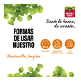 thumbnail image 4 of Infusión herbal Nature's Heart manzanilla jengibre 20 sobres de 1.5 g c/u, 4 of 5