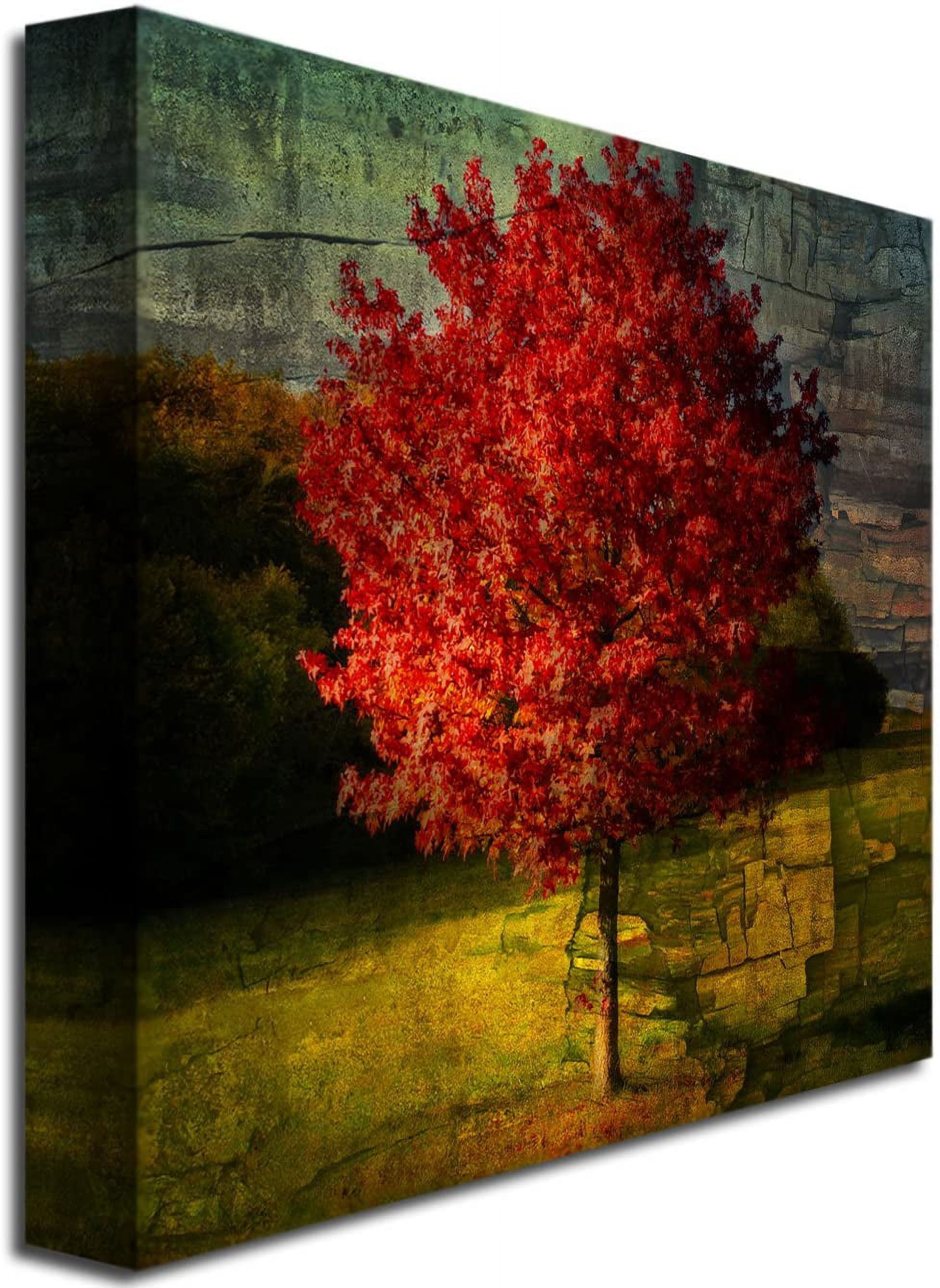 Trademark Art "Autumn Red" Canvas Art by Philippe Sainte-Laudy
