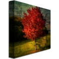thumbnail image 2 of Trademark Art "Autumn Red" Canvas Art by Philippe Sainte-Laudy, 2 of 5