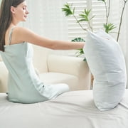 Teler Goose Feather Down Pillows for Sleeping,Hotel Collection Standrad Size Soft Bed Pillow,1 Pack,Standrad (20.2 x 26.2)