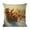 E, variant on Uuowzo 45x45cmChristmas Pillow Set Cushion Set for Living Room Sofa Decoration Excluding Pillow Core Indoor Outdoor Christmas Decorations, C