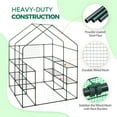 thumbnail image 4 of EAGLE PEAK Walk-in Greenhouse 2 Tiers 8 Shelves with Roll-up Zipper Door,2 Side Mesh Windows and Vertical Shelf, Outdoor Indoor Gardening Plant House 56''x56''x76'' , Green, 4 of 10