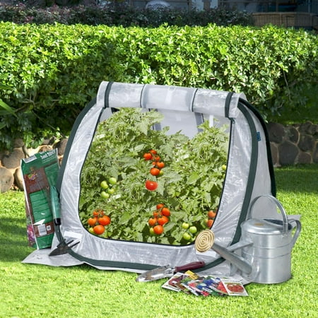 UPC 892514000108 product image for Flowerhouse 3' x 4' x 4' Seed House | upcitemdb.com