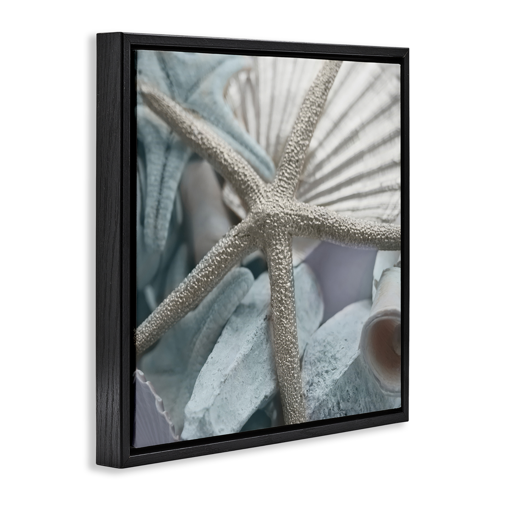 Stupell Industries Seashells & Starfish Nautical & Beach Photography Black Floater Framed Canvas Art Print Wall Art, 25 x 25